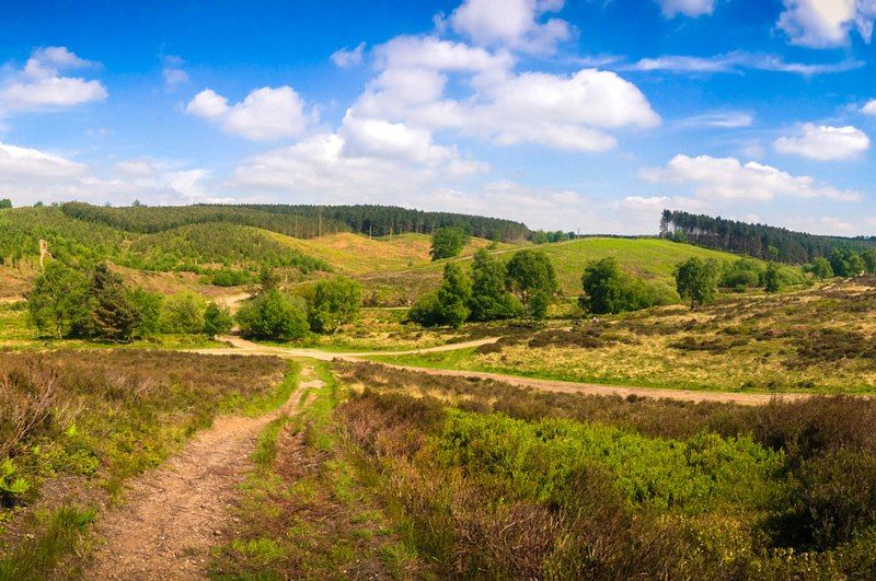 File:Cannock Chase (Cropped).jpg