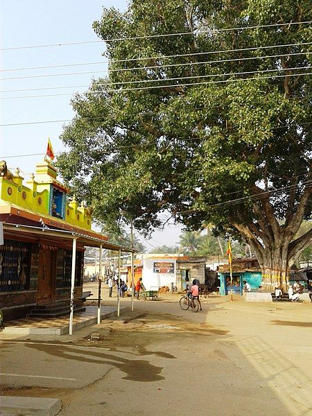 File:Chamalapurahundi, Nanjangud.jpg