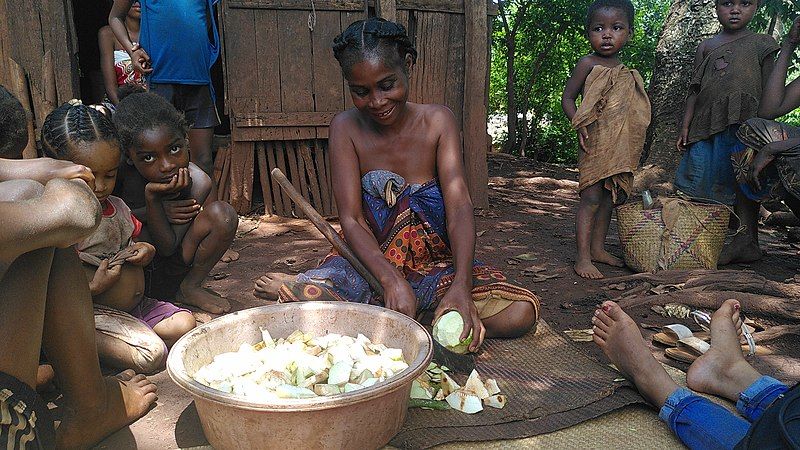 File:Cooking bread fruit.jpg