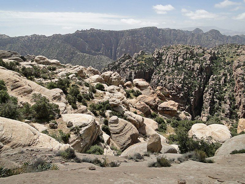 File:Dana Reserve 02.jpg