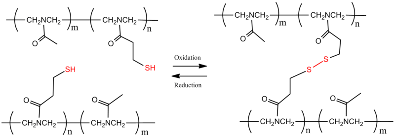 File:Disulfidebridge.png