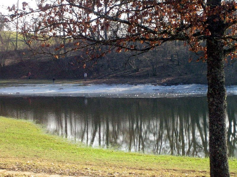 File:Eichener See Winter.JPG