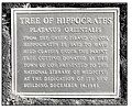 Plaque at base of Tree of Hippocrates at the National Library of Medicine.