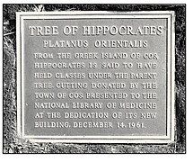 Hippocrates Plaque