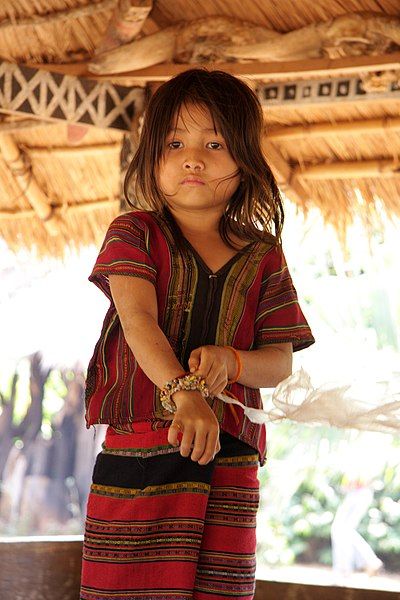 File:Laos Katoo081999a.jpg