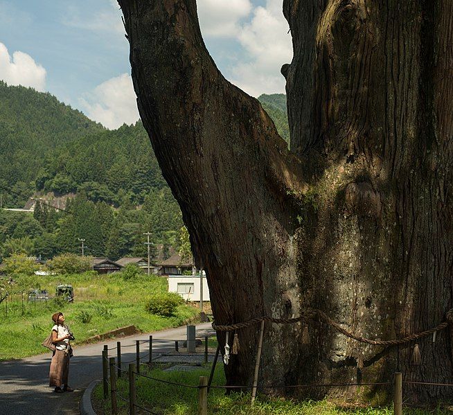 File:Nagano-Tsukise-no-Osugi.jpg