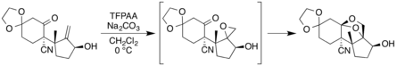 A step in the total synthesis of neosporol, in which an allyl alcohol undergoes epoxidation with trifluoroperacetic acid, followed by a rearrangement with a nearby carbonyl functional group to form a 1,3-dioxolane moiety (*)