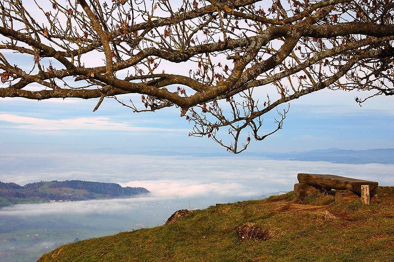 File:Seebodenalp-foggy Zuger See.JPG