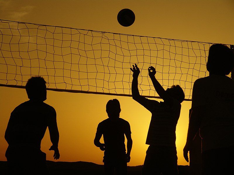 File:Silhouette Volleyball.JPG