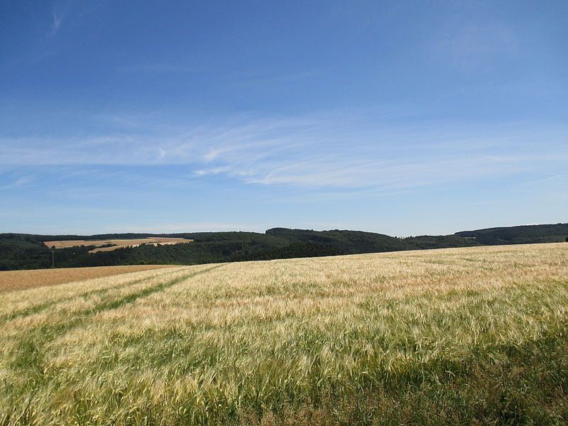 File:Wehrholz im Taunus.jpg