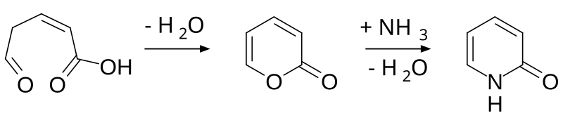 File:2-pyridone chemical synthesis.svg