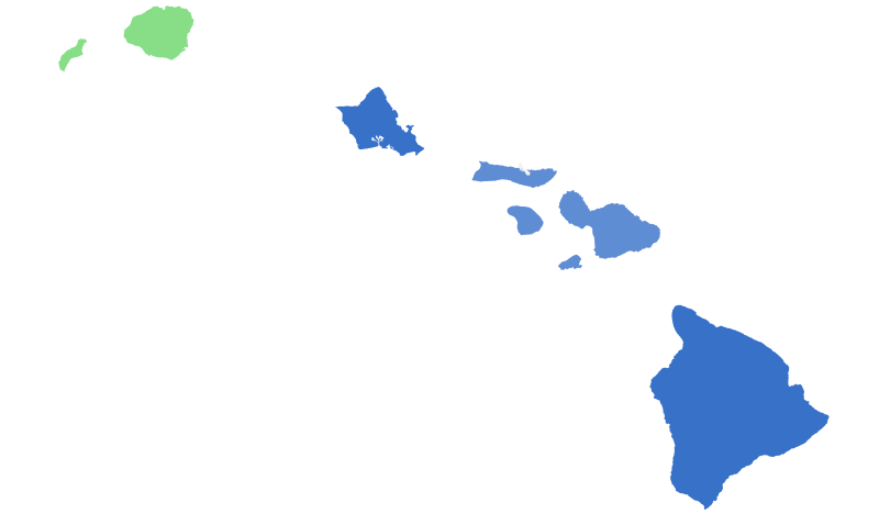 File:2010HIgovdprimary.svg