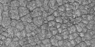 Close-up of high center polygons seen by HiRISE under HiWish program Troughs between polygons are easily visible in this view.