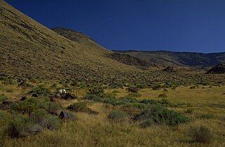 Cheatgrass covers the fault scarp of Abert Rim.