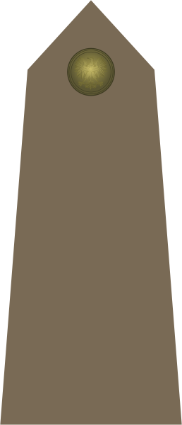 File:Army-POL-OR-01.svg