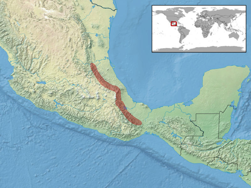 File:Atropoides nummifer distribution.png