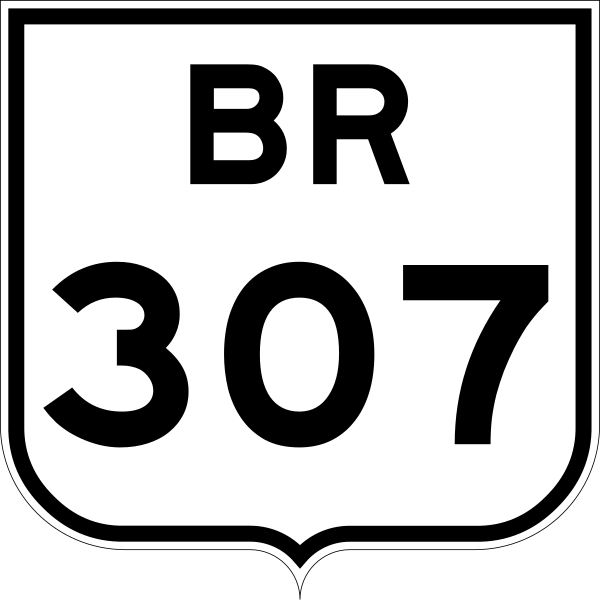 File:BR-307 jct.svg