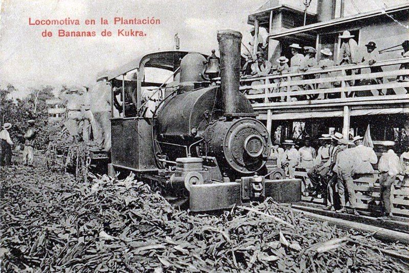 File:Banana plantation (48645522158).jpg