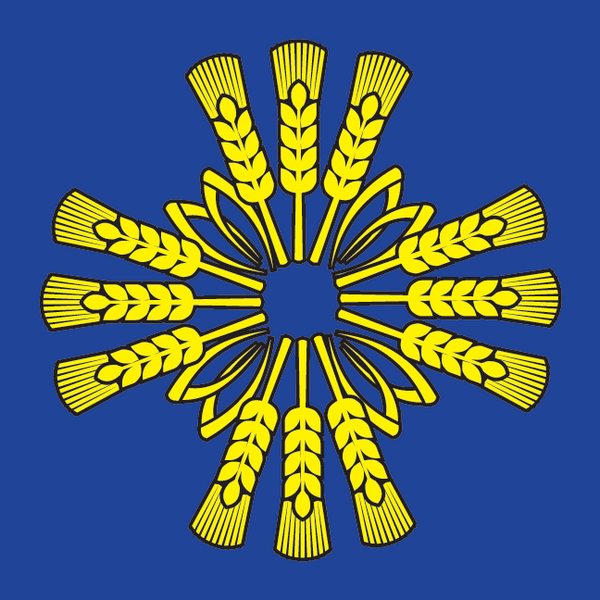 File:Baraflag.png