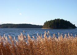 View of lake