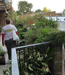 Garden frontage on railins at Cressingham Gardens