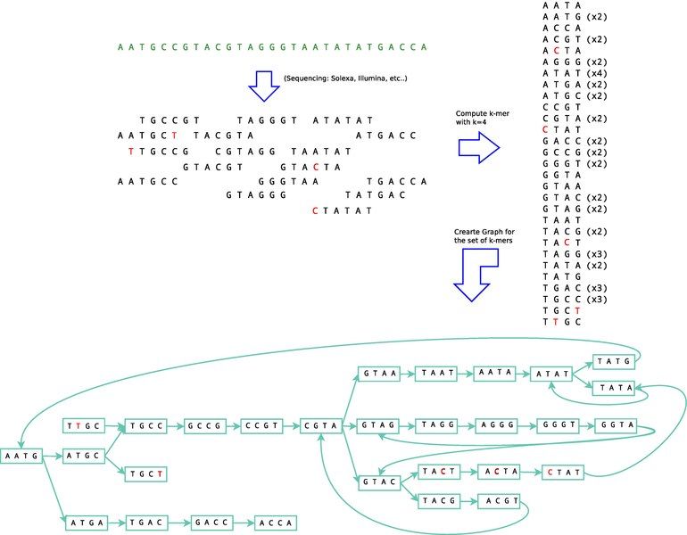 File:Example 1seq.pdf