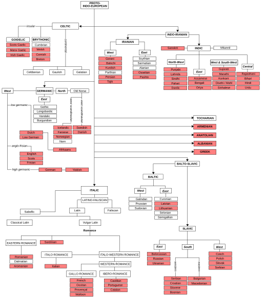 File:IndoEuropeanTreeA.svg