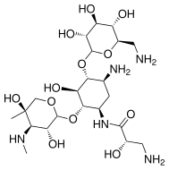 File:Isepamicin.svg