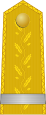 File:KingdomRomania-Army-OF-6.svg