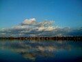 A bright blue lake with a line of cypress trees along the horizon and puffy white clouds in the equally blue sky