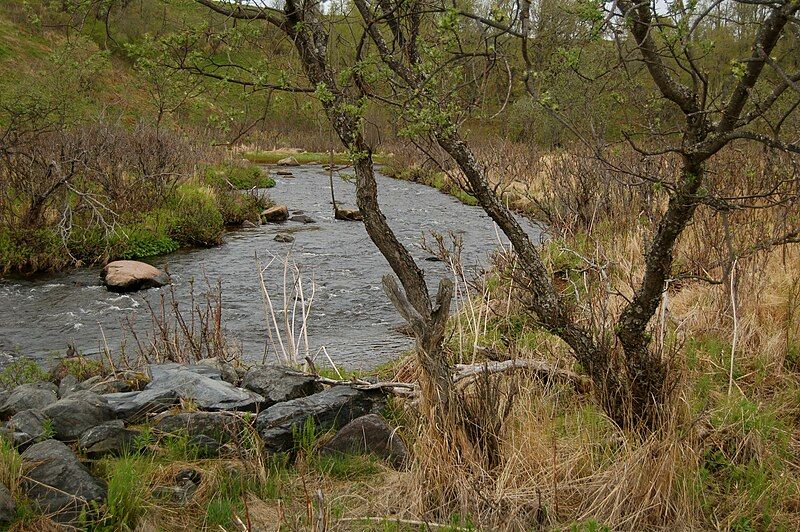 File:Ninilchik River.jpg