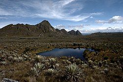 The Sumapaz Páramo