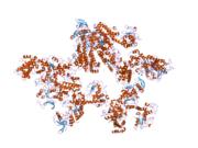 1y0v: Crystal structure of anthrax edema factor (EF) in complex with calmodulin and pyrophosphate