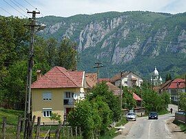 View of Sălciua