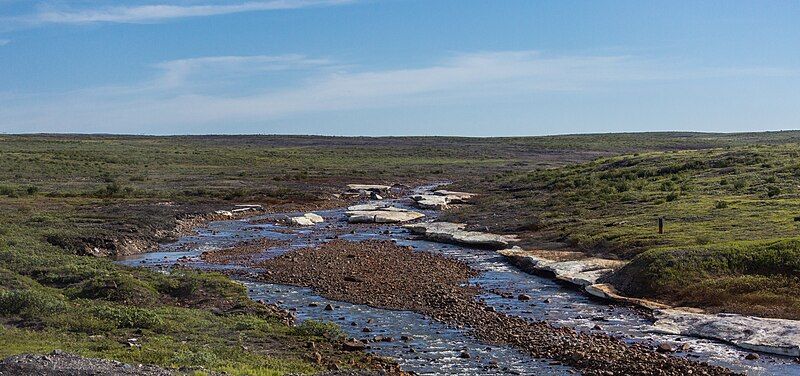 File:Siberian tundra 05.jpg