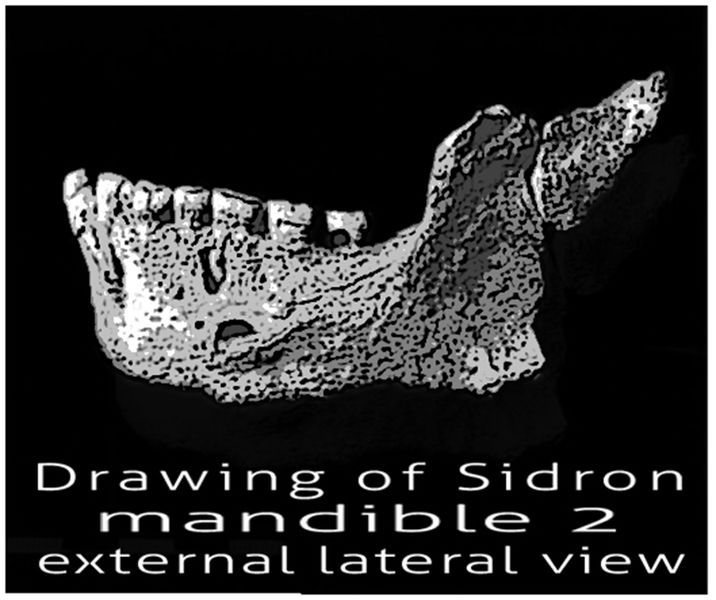 File:Sidron 2.jpg