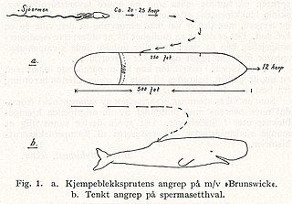 #106 (1930–1933) Arne Grønningsæter's sketch of his supposed encounter with a giant squid in the open ocean between Hawaii and Samoa in 1930–1933 (Grønningsæter, 1946:380, fig. 1). The animal was observed swimming at 20–25 kn (37–46 km/h) alongside a 15,000-ton freighter before turning towards the ship, colliding with the hull, skidding along it, and being ground to pieces by the propeller.