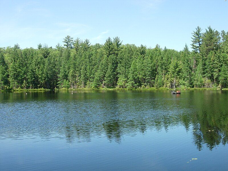 File:Trout Bog Lake.jpg