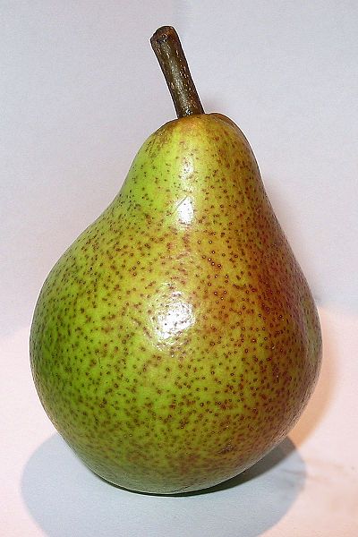 File:Yet another pear.jpg