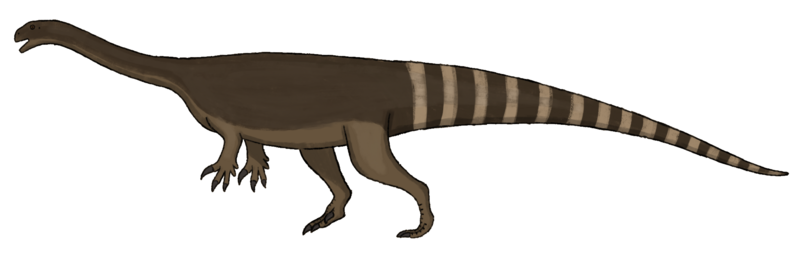 File:1854 - Massospondylus.png