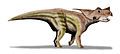 Achelousaurus, North America:Montana