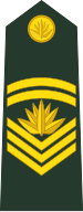 File:Bangladesh-army-OR-7.svg