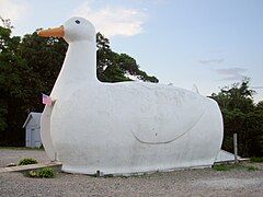 The Big Duck in Flanders, New York (1931)