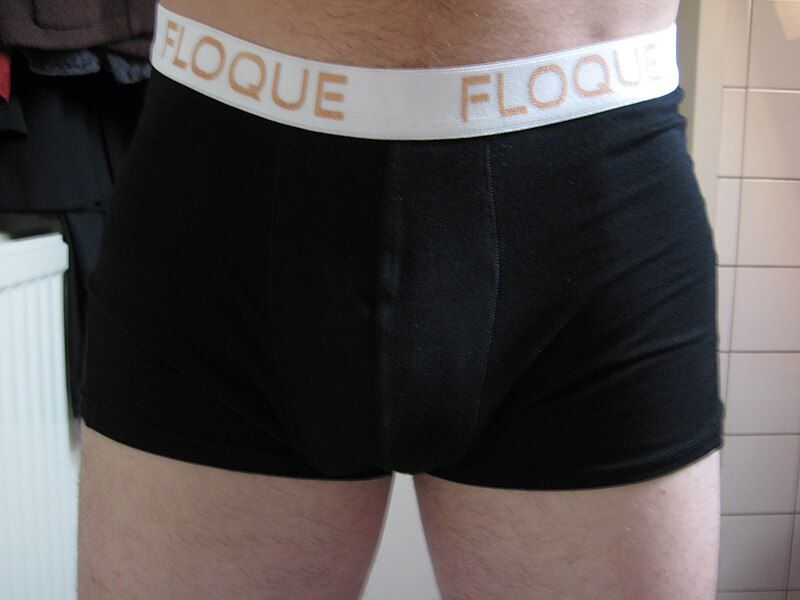 File:Boxerbriefs-black-Floque-20080508.jpg