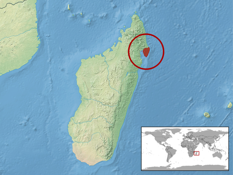 File:Brookesia peyrierasi distribution.png