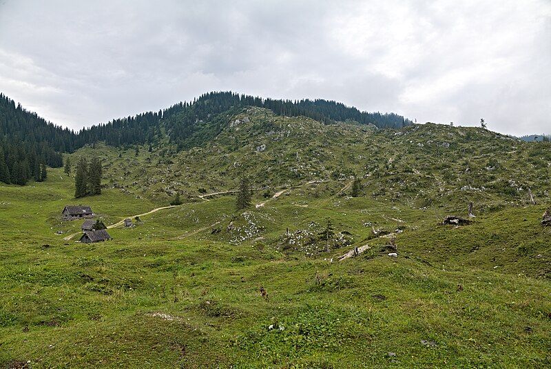 File:Dürrensteinalm 2022-08-07 01.jpg