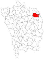 Location in Vaslui County