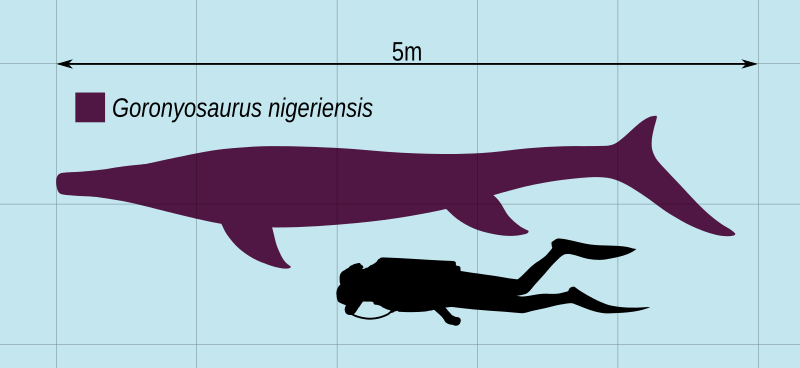 File:Goronyosaurus.svg