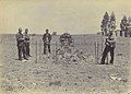 Grave of Herman Coster, Battle of Elandslaagte (1899), South Africa. Unknown photographer, probably around 1899.