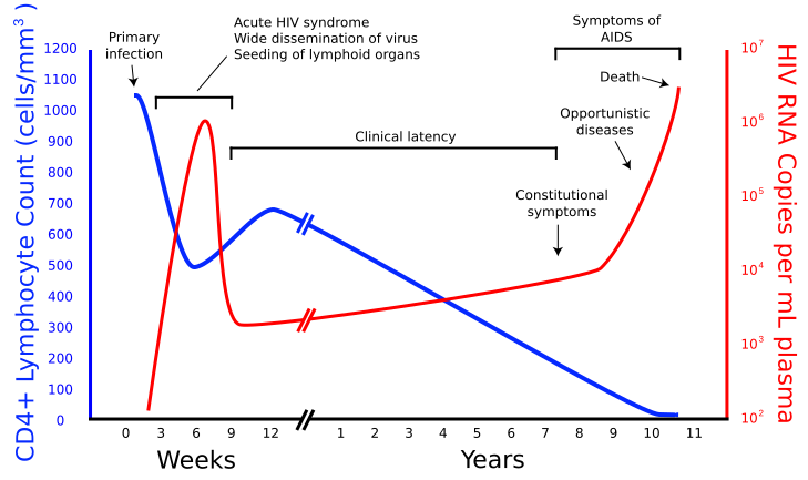 File:Hiv-timecourse copy.svg